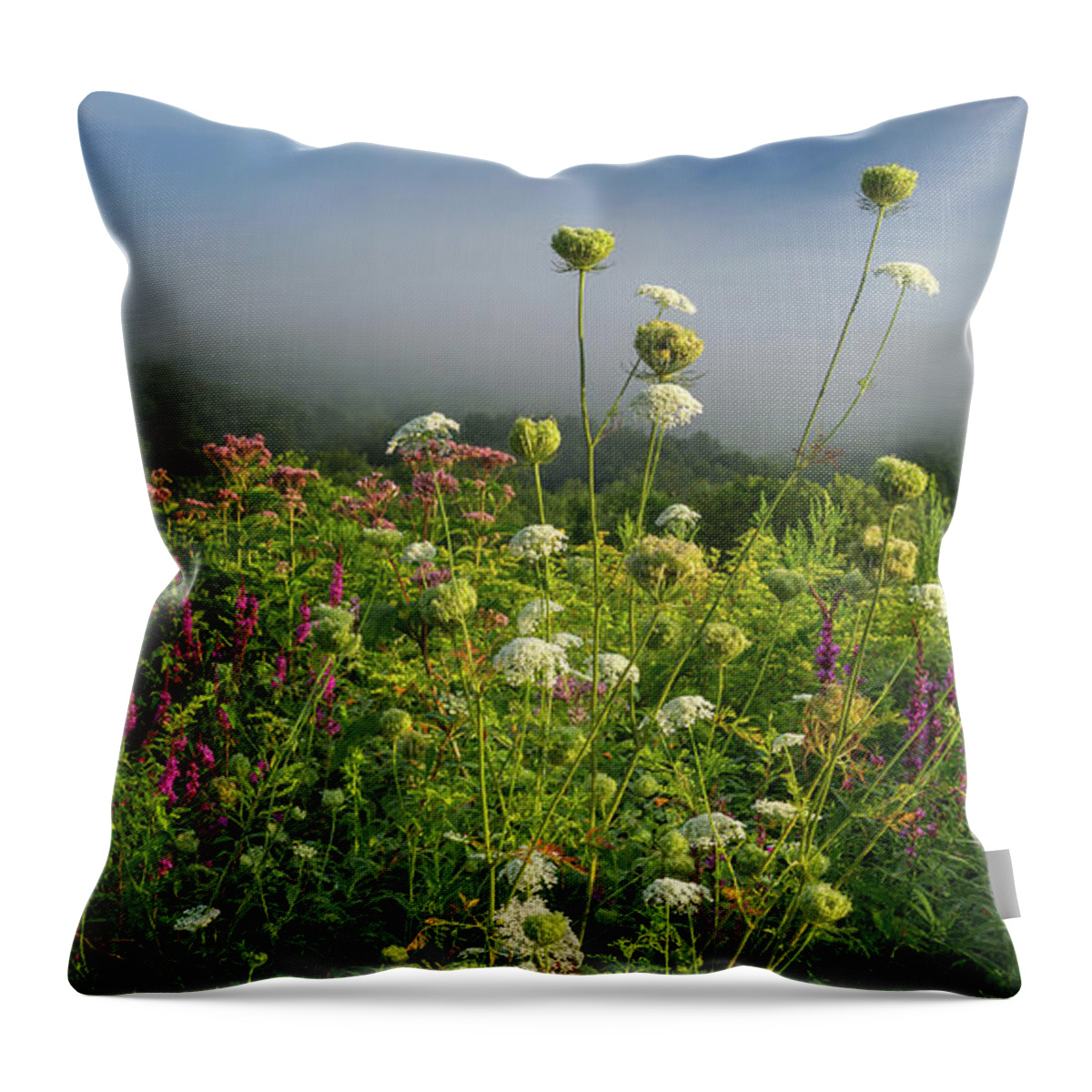Summer Throw Pillow featuring the photograph Summer Floral by Bill Wakeley