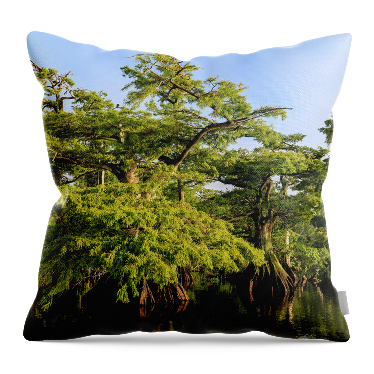 Florida Throw Pillow featuring the photograph Summer Greens by Stefan Mazzola