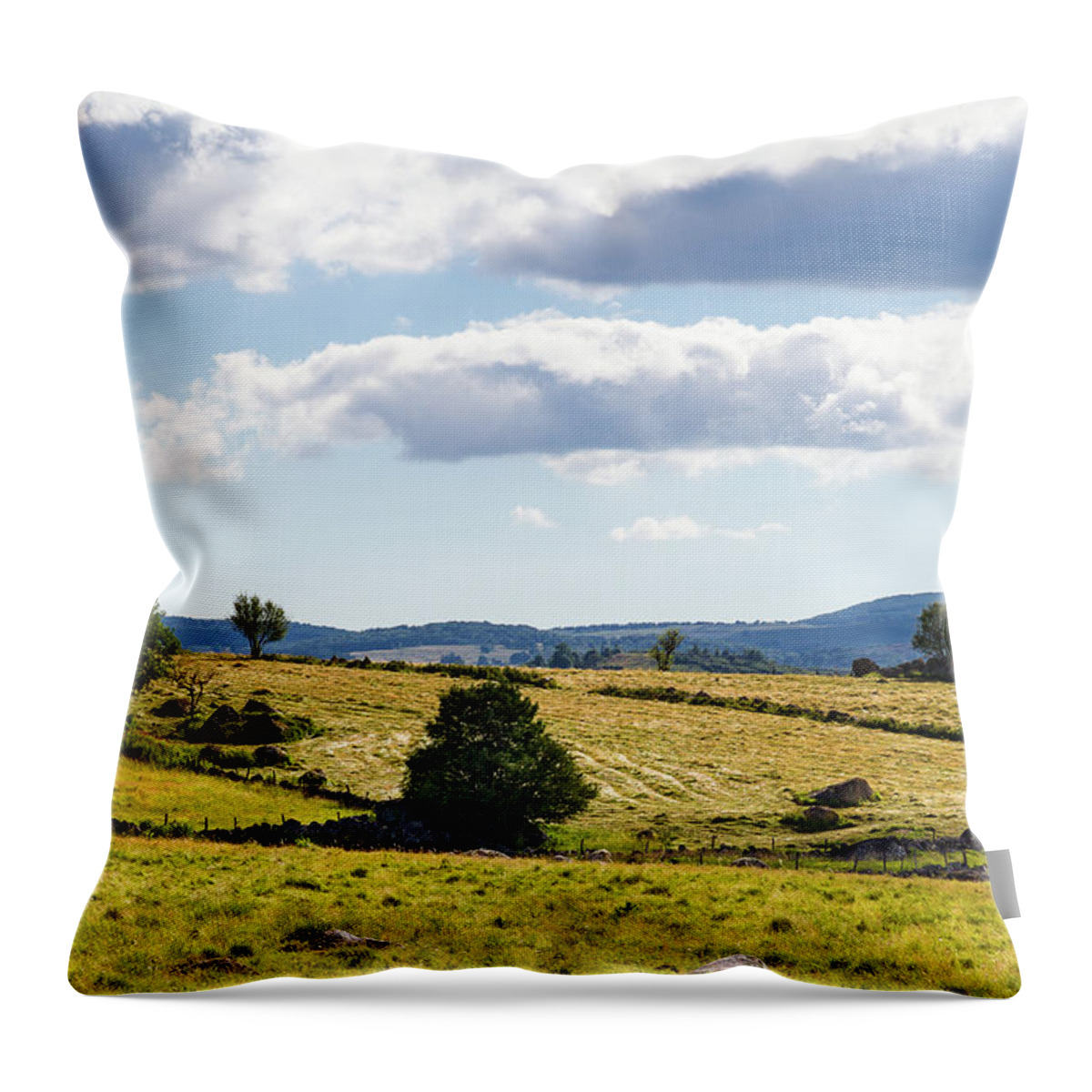 Agricultural Landscape Throw Pillow featuring the photograph Summer in Aubrac # XI - France by Paul MAURICE