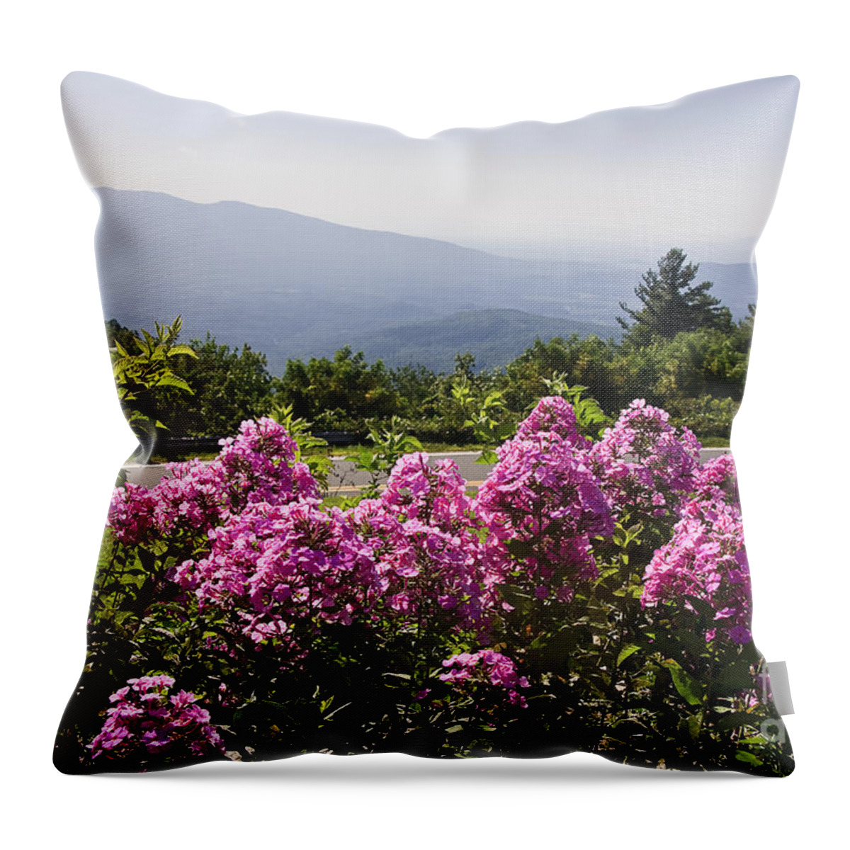Mountain Throw Pillow featuring the photograph Summer in the Mountains by Jill Lang
