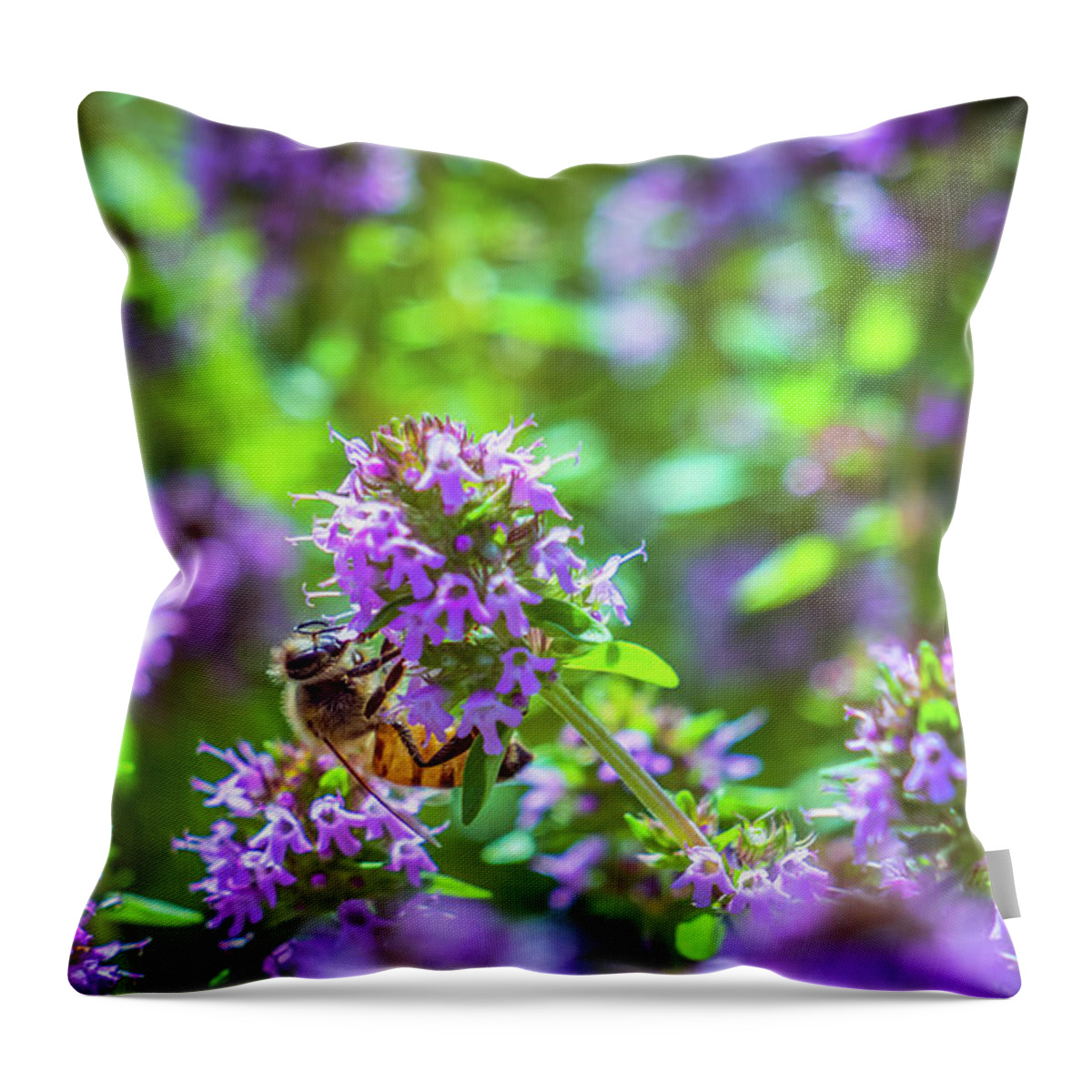 Meadow Throw Pillow featuring the photograph Summer meadow 2 by Lilia S