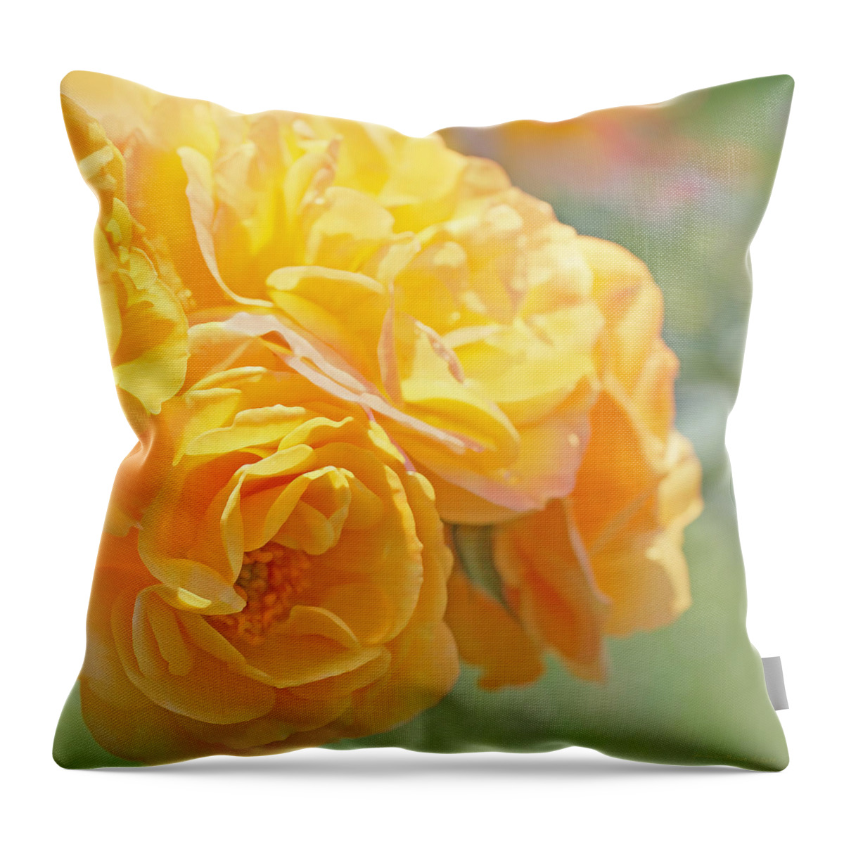 Rose Throw Pillow featuring the photograph Golden Yellow Roses in the Garden by Jennie Marie Schell