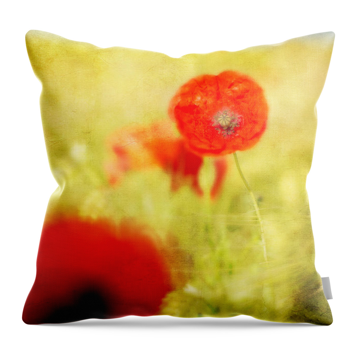Agriculture Throw Pillow featuring the photograph Summer Painting by Hannes Cmarits