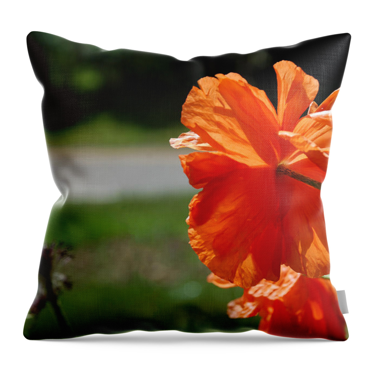 Orange Throw Pillow featuring the photograph Summer Poppy by Amanda Jones