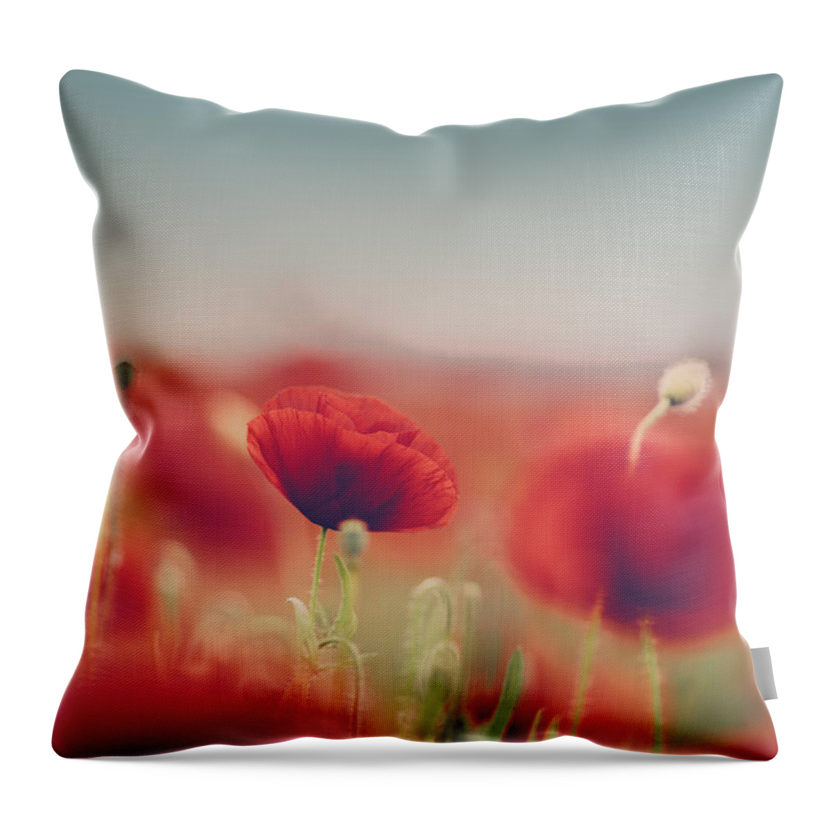 Poppy Throw Pillow featuring the photograph Summer Poppy Meadow by Nailia Schwarz