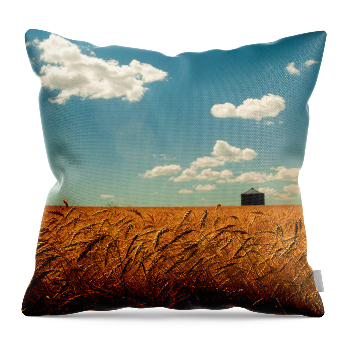 Landscape Throw Pillow featuring the photograph Summer Respit by Todd Klassy