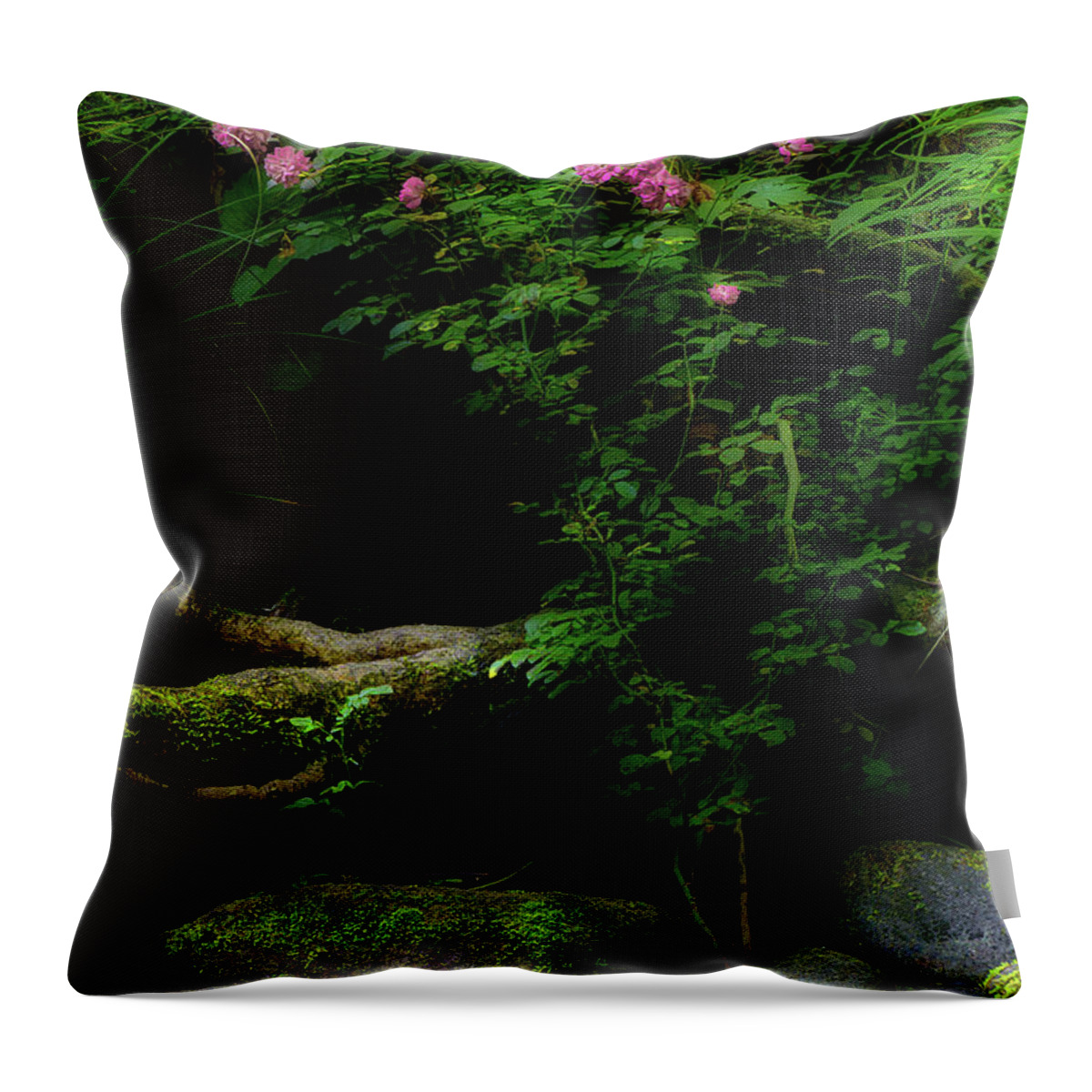 Roses Throw Pillow featuring the photograph Summer Rose Along The River by Michael Eingle