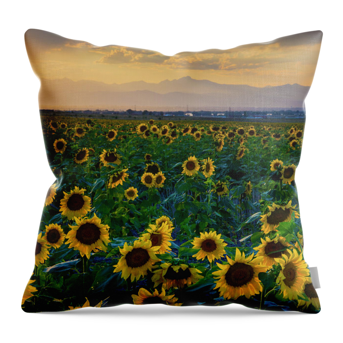Colorado Throw Pillow featuring the photograph Summer Skies and Sunflowers by John De Bord