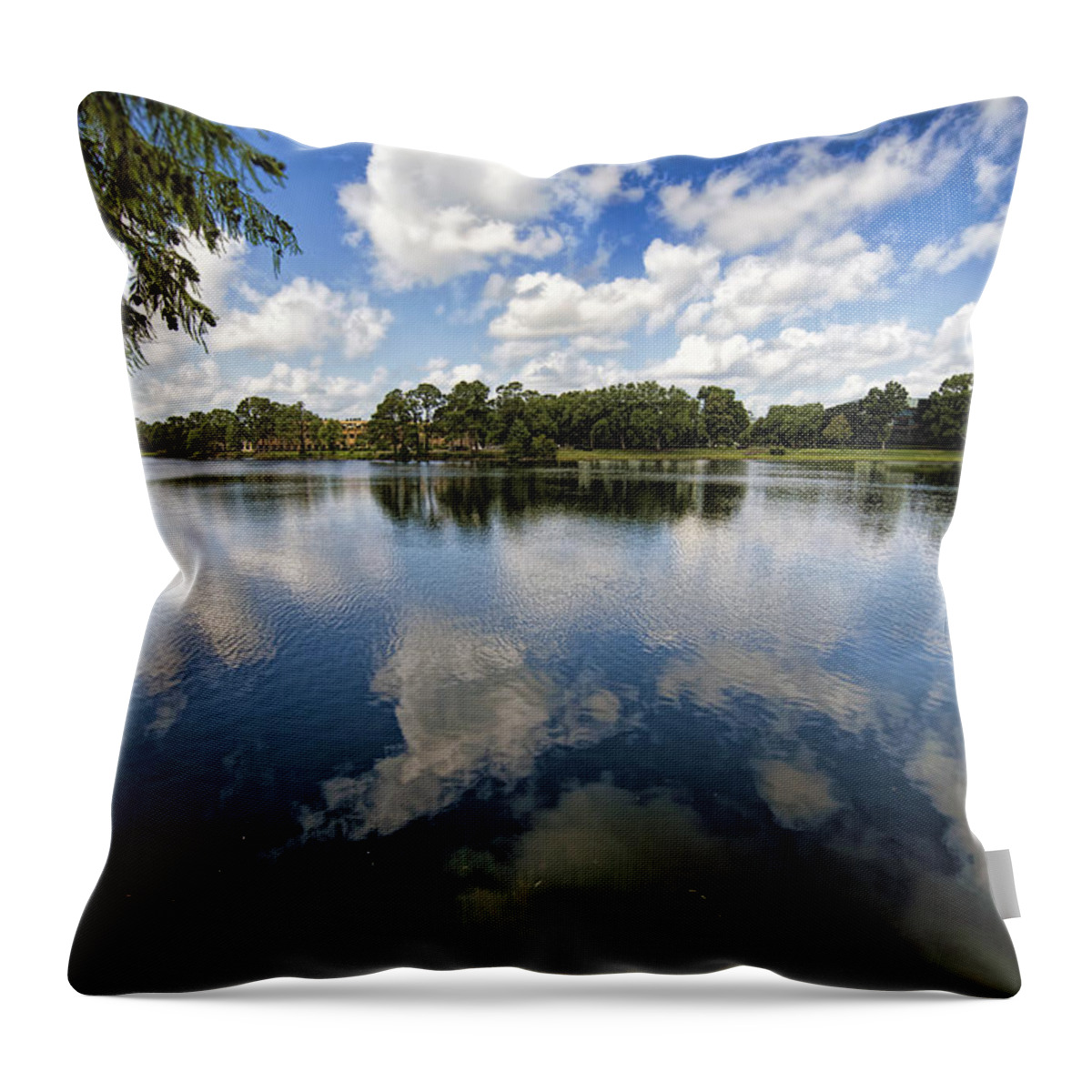 Lake Throw Pillow featuring the photograph Summer Skies by Anthony Baatz