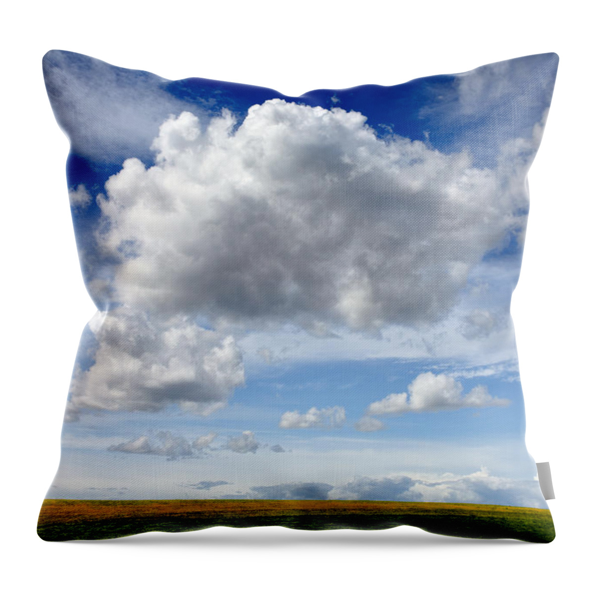 Field Throw Pillow featuring the photograph Summer Sky by Irwin Barrett