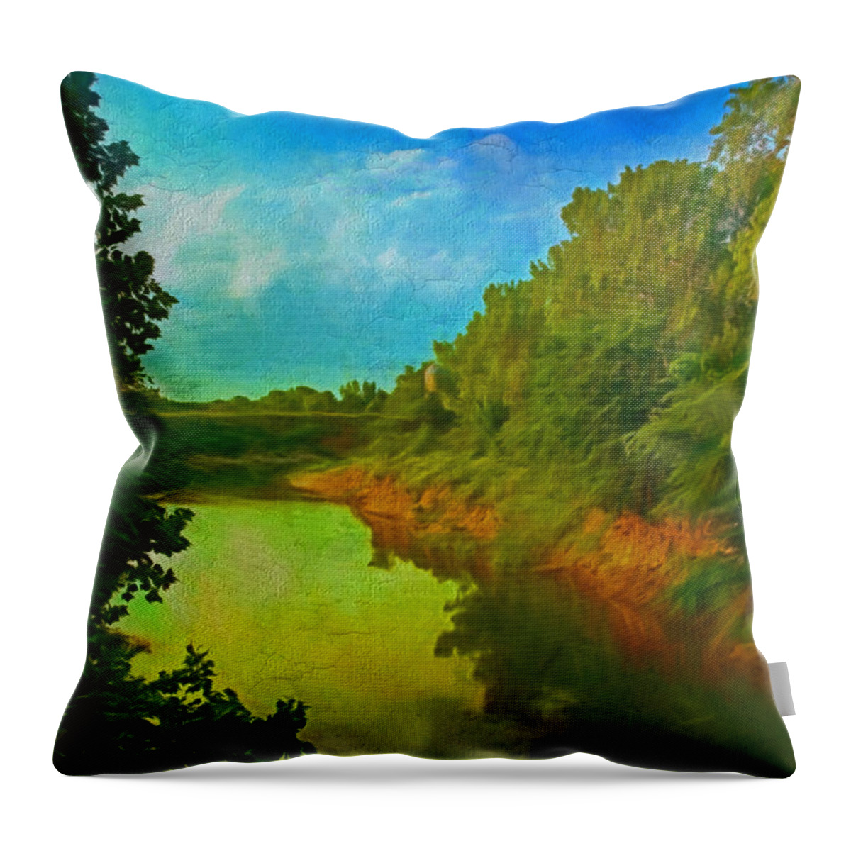 Creek Throw Pillow featuring the photograph Summer Soft Morning Creek by Anna Louise