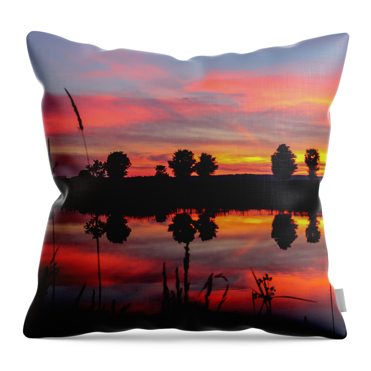 Landscape Throw Pillow featuring the photograph Summer Sunset with Moon by Tim Kirchoff