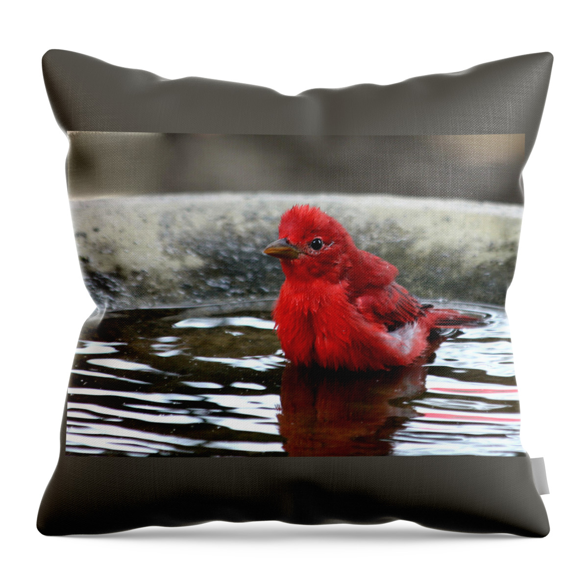Nature Throw Pillow featuring the photograph Summer Tanager in Bird Bath by Sheila Brown