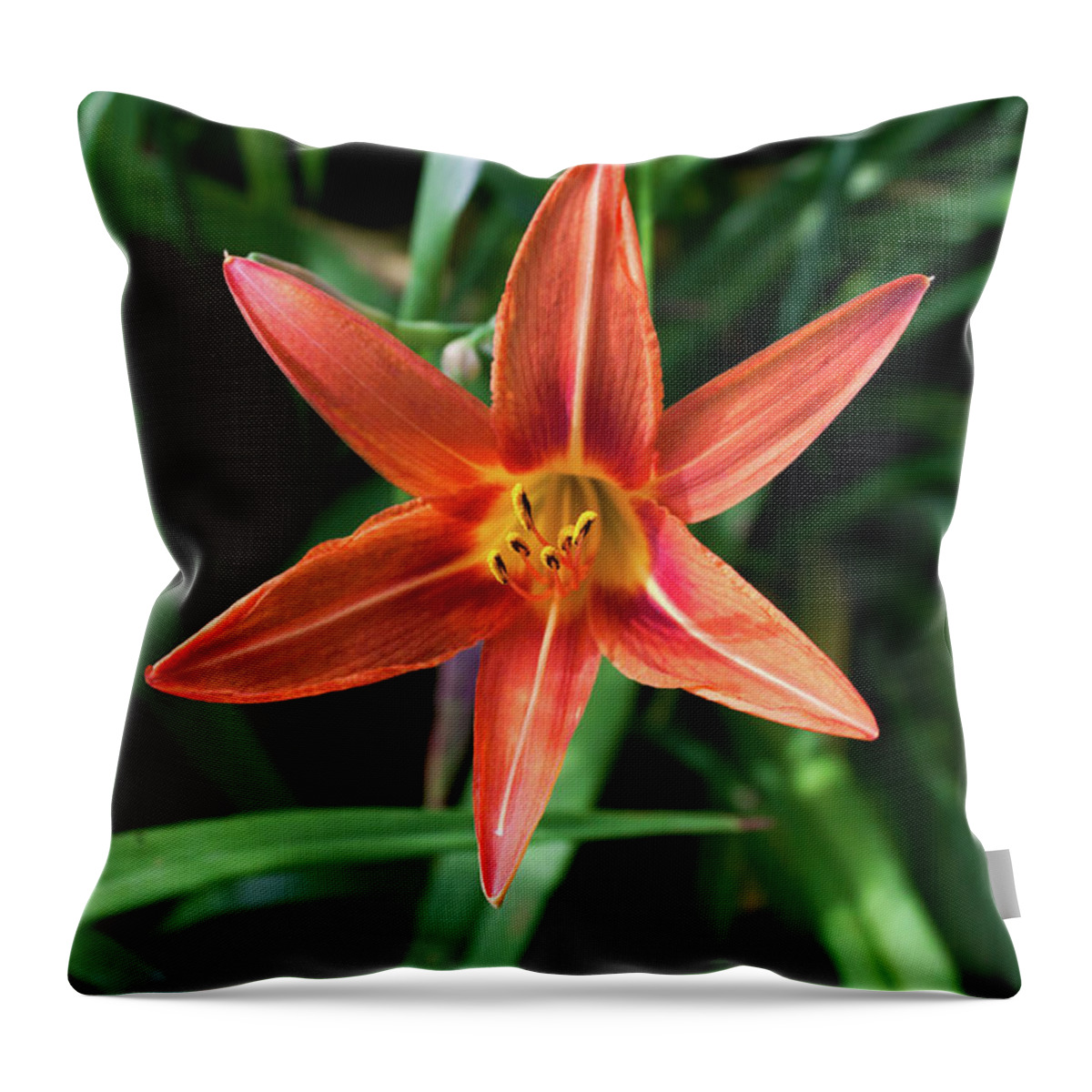 Flower Throw Pillow featuring the photograph Summer Tiger Lily by Jeff Severson