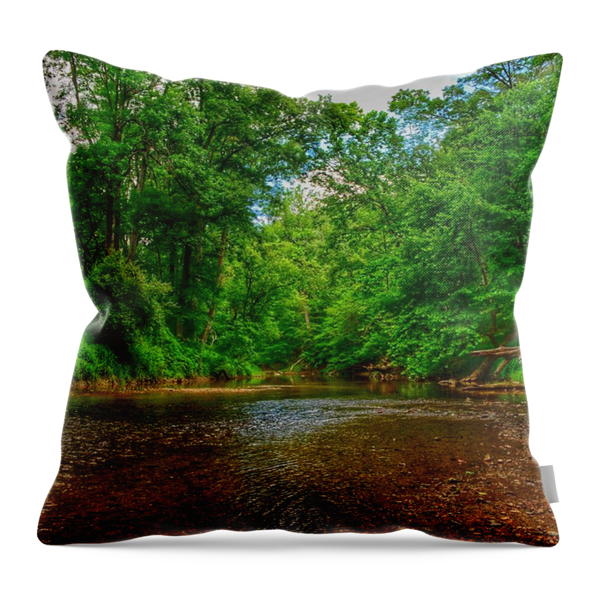Perspective Throw Pillow featuring the photograph SummerBreeze III by Kathi Isserman