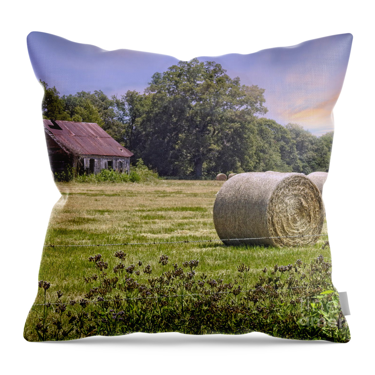 Barn Throw Pillow featuring the photograph Summers Golden Harvest by Ella Kaye Dickey