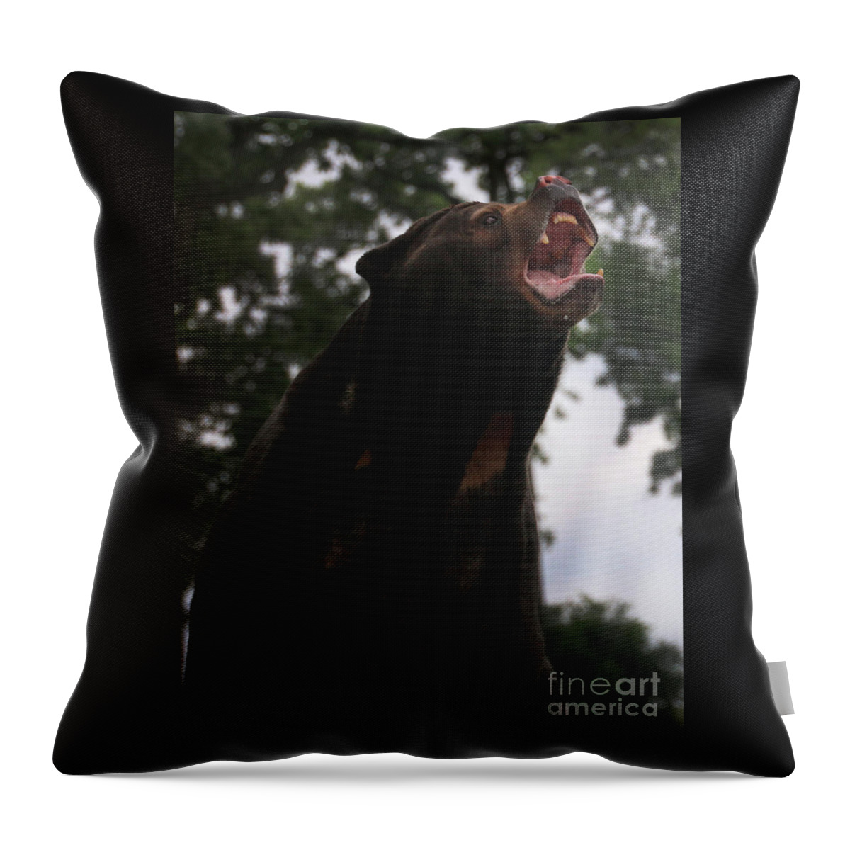 Sun Bear Throw Pillow featuring the photograph Sun Bear-7680 by Gary Gingrich Galleries