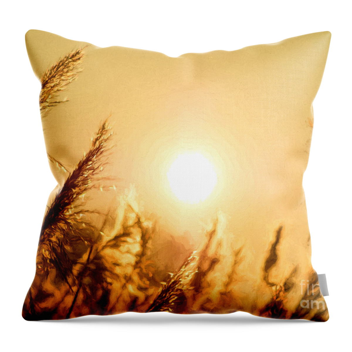 Grass Throw Pillow featuring the photograph Sun by Daniel Heine