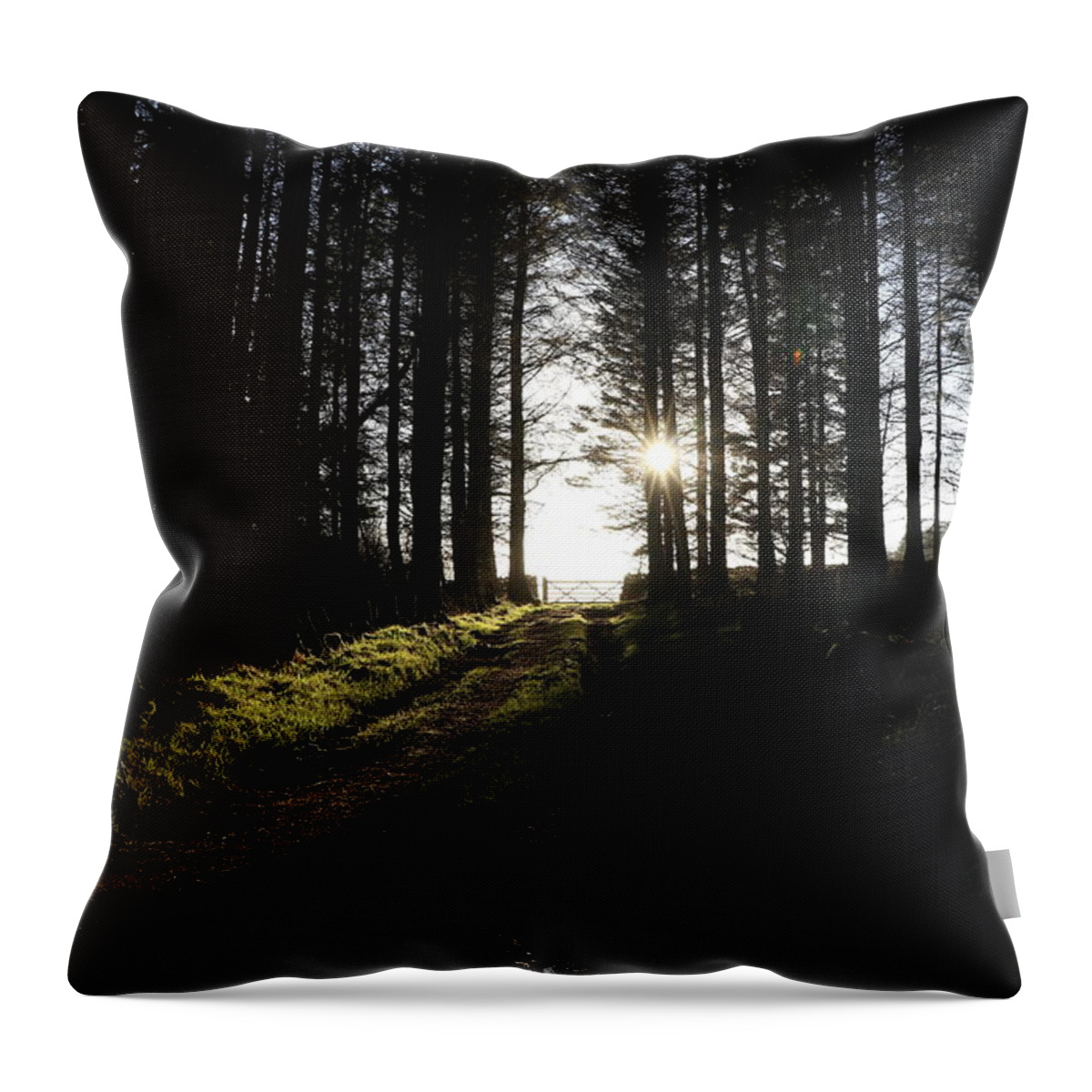 Sun Throw Pillow featuring the photograph Sun glare in the dark forest by Lukasz Ryszka