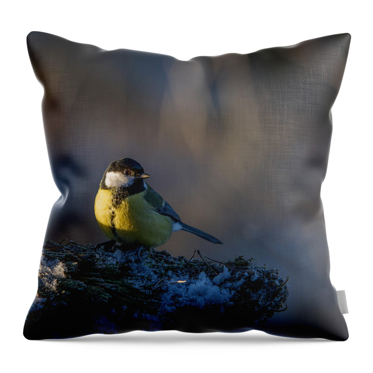 Sun In The Eye Throw Pillow featuring the photograph Sun in the Eye by Torbjorn Swenelius
