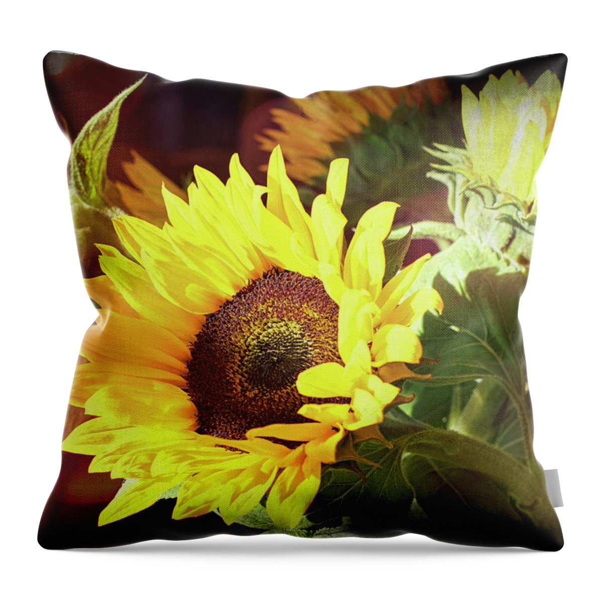 Sunflower Throw Pillow featuring the photograph Sun of the Flower by Michael Hope