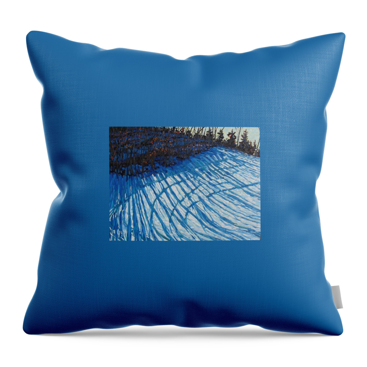 725 Throw Pillow featuring the painting Sun of Winter Shadows by Phil Chadwick