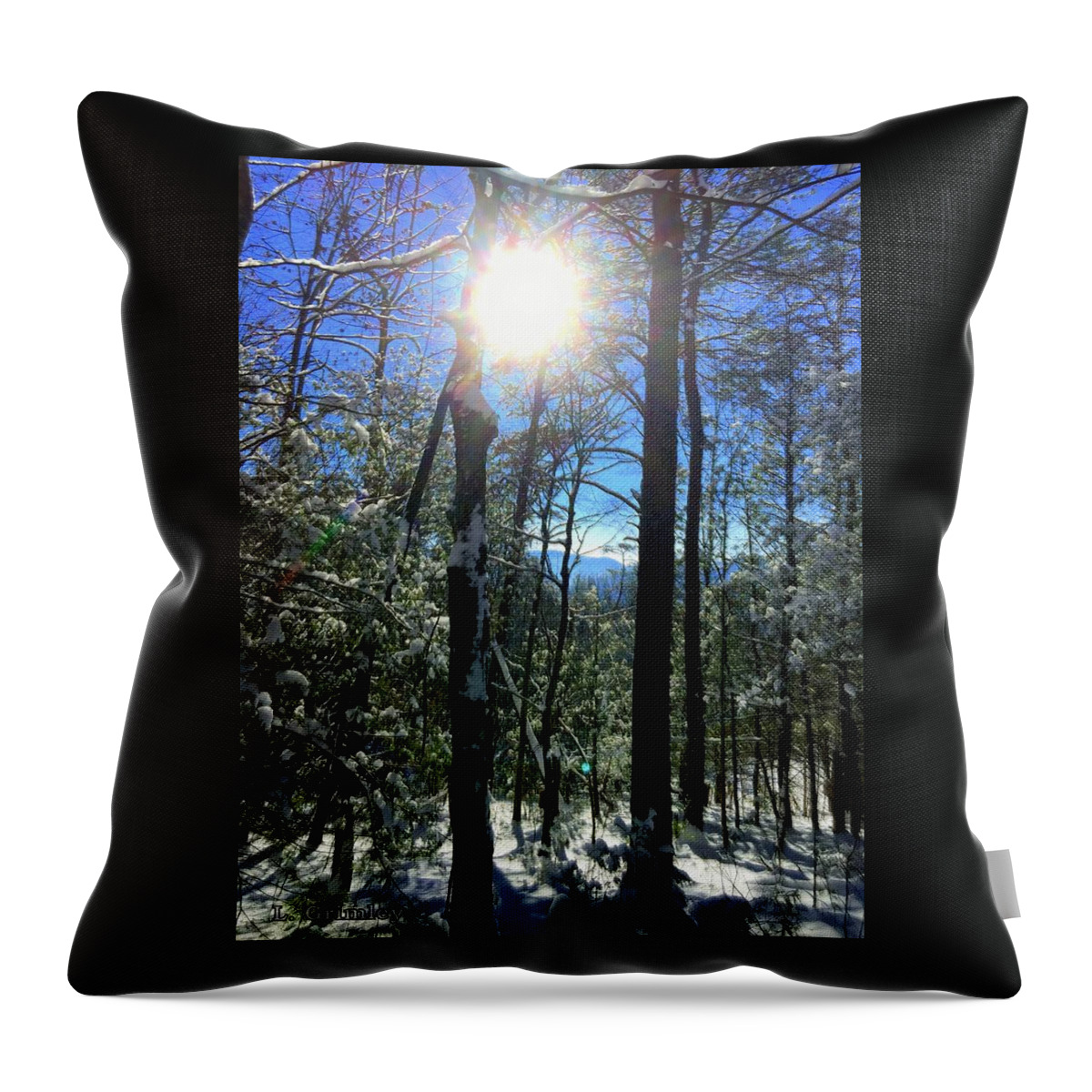 Photography Throw Pillow featuring the photograph Sunbeam Winter by Lessandra Grimley