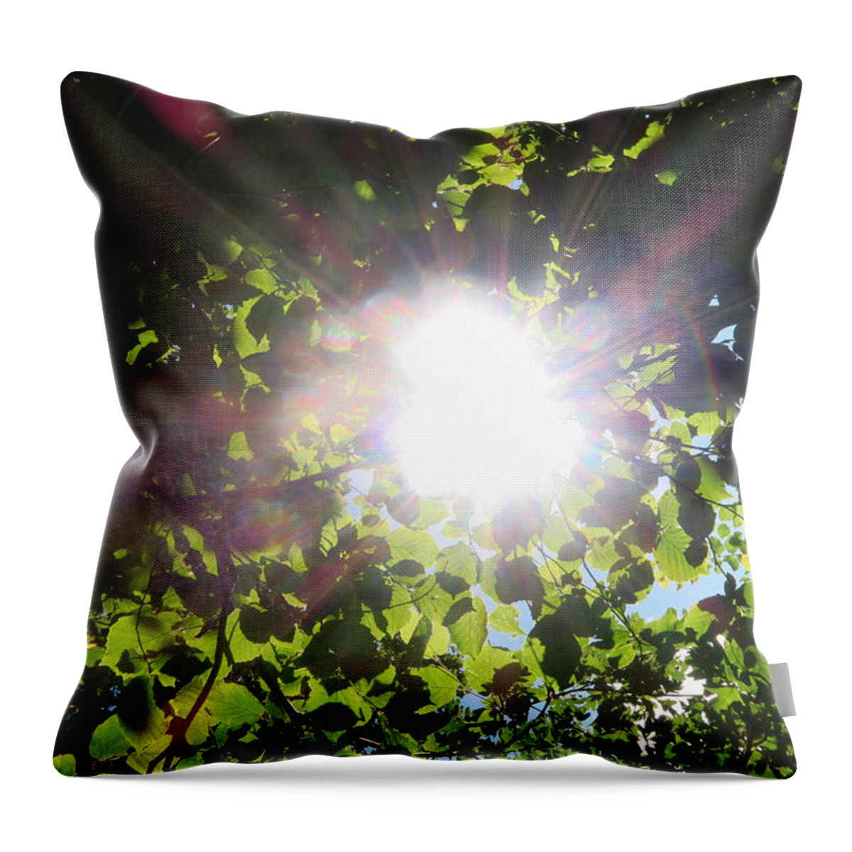 Sunblast Throw Pillow featuring the photograph Sunblast by Zoe Oakley