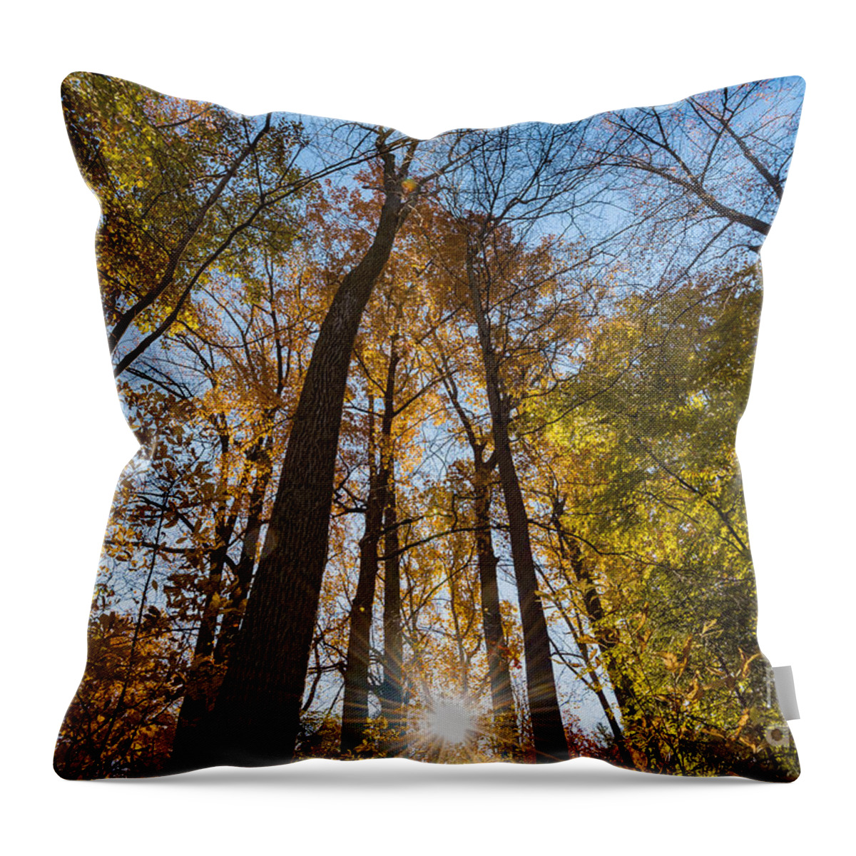 Fall Throw Pillow featuring the photograph Sunburst through Autumn Trees by Alissa Beth Photography