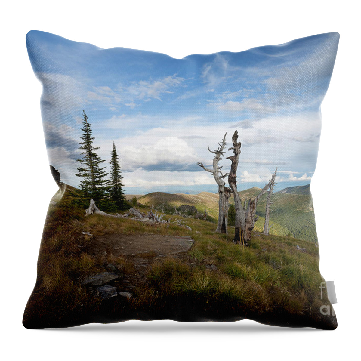 Bonner County Throw Pillow featuring the photograph Sundance Lookout by Idaho Scenic Images Linda Lantzy