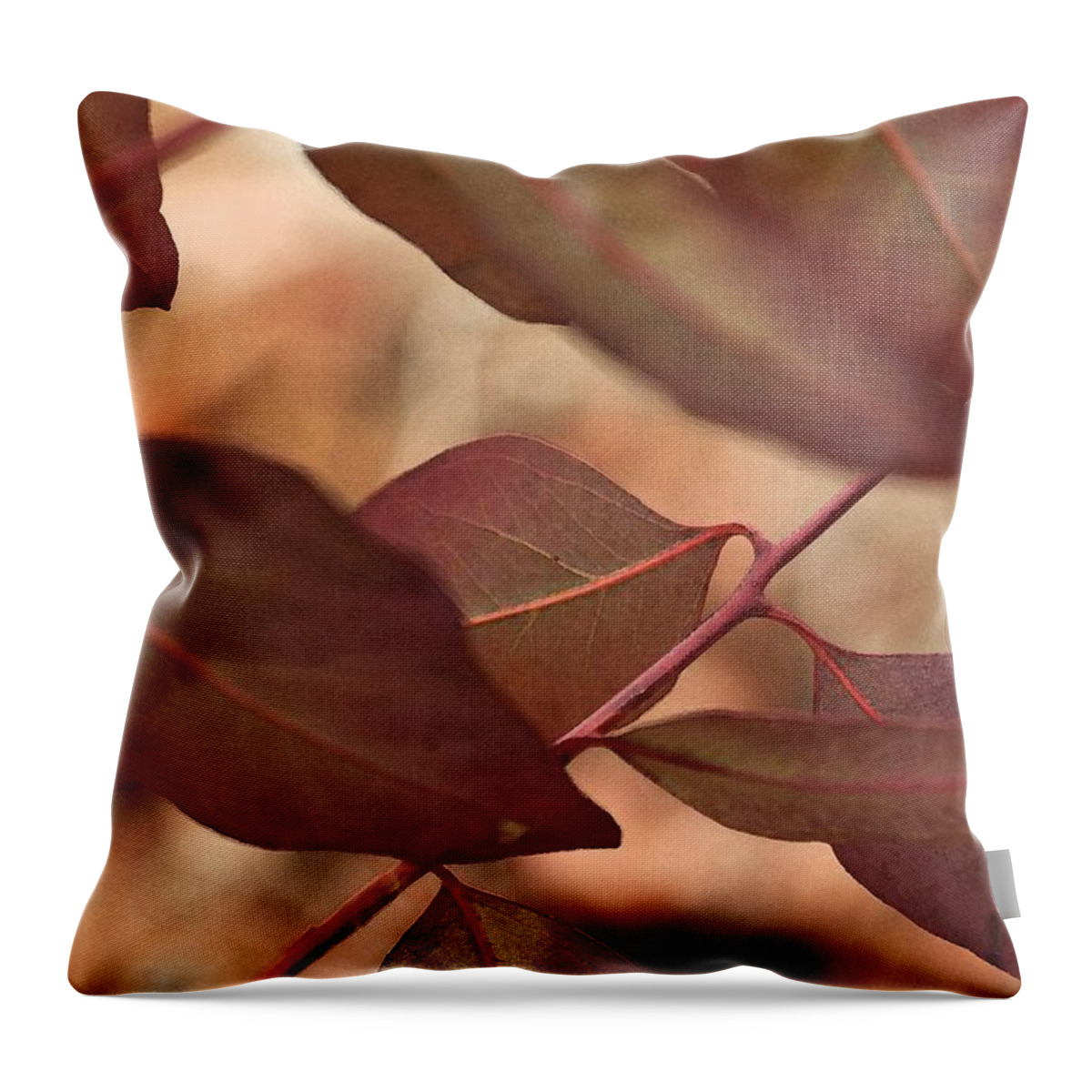Eucalyptus Throw Pillow featuring the photograph Sunday by Amy Neal
