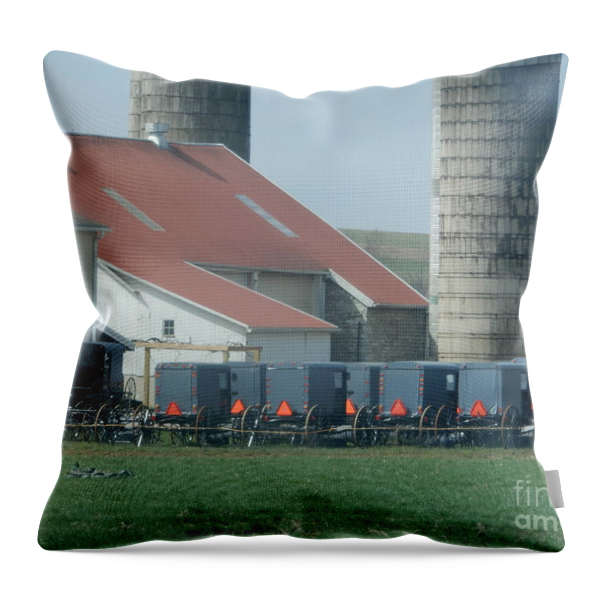 Amish Throw Pillow featuring the photograph Sunday Best by Christine Clark