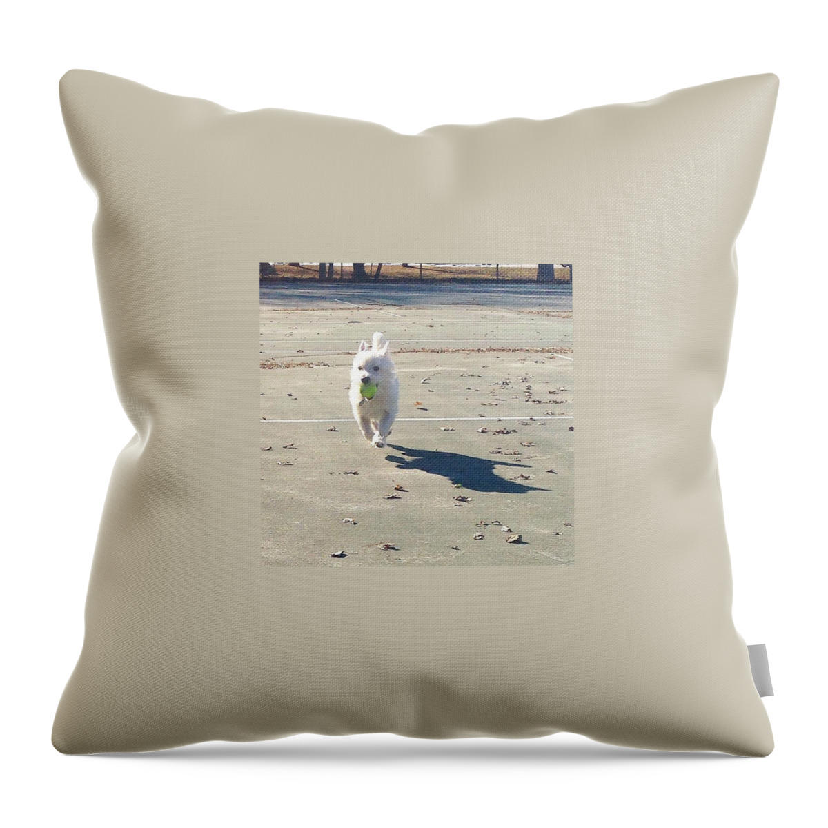 Westie Throw Pillow featuring the photograph Sunday Funday by Kate Arsenault 