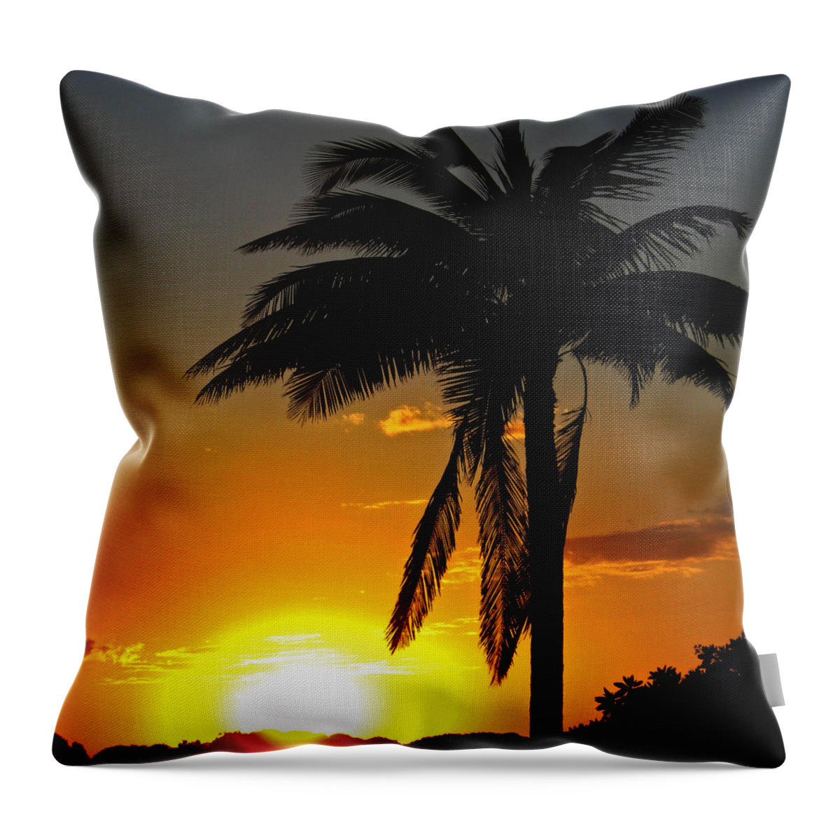 Sunset Throw Pillow featuring the photograph Sundown by Kerri Ligatich