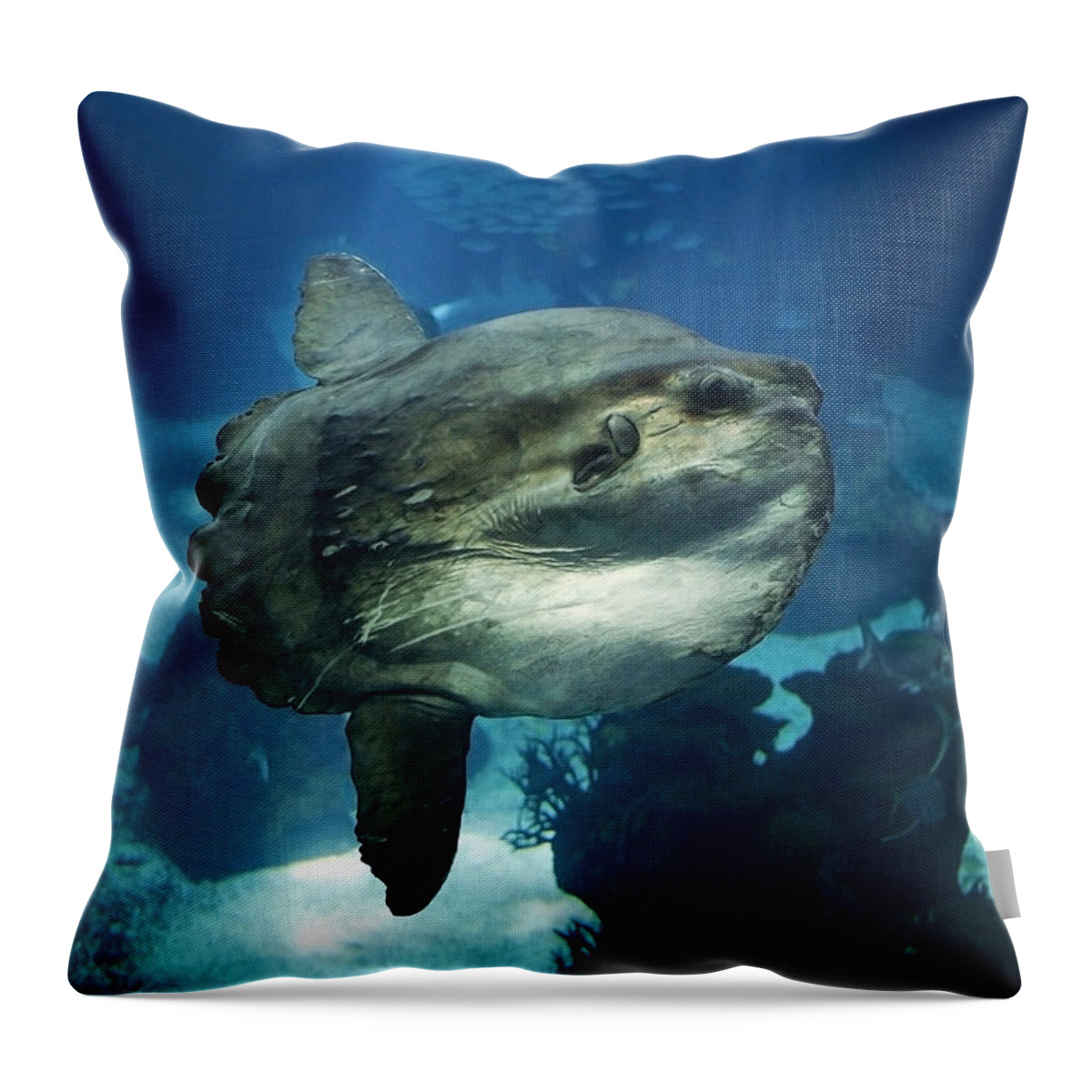 Adult Throw Pillow featuring the photograph Sunfish Mola Mola by Gerard Lacz
