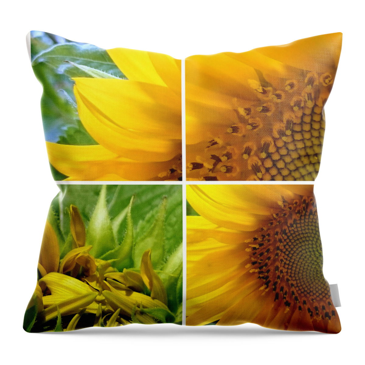 #photographed #sony #sonyxperiaz2 #color #all_shots #composition #sunflowers #art #pics #jacquelineschreiber #colorful #xperia #beautiful #picoftheday #photooftheday Throw Pillow featuring the photograph Sunflower -1 by Jacqueline Schreiber