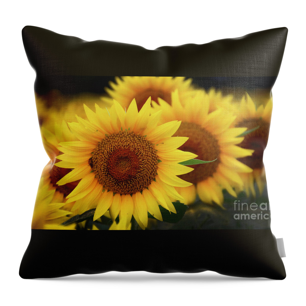 Sunflowers Throw Pillow featuring the photograph Sunflower-6110 by Gary Gingrich Galleries