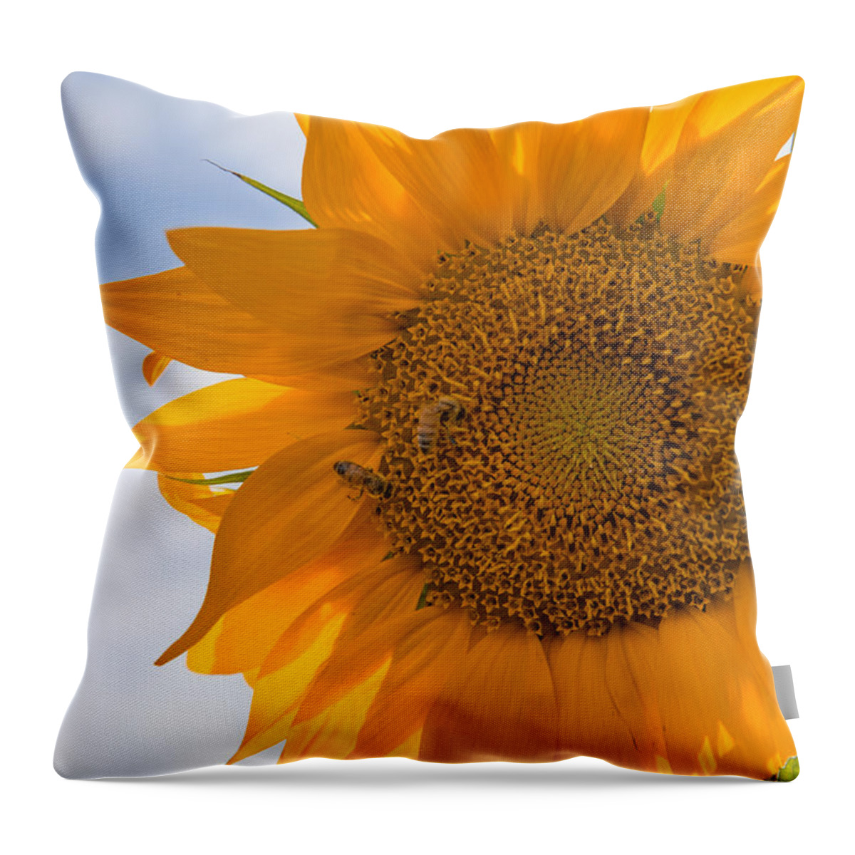 Sunflowers Throw Pillow featuring the photograph Sunflower and the Bee by Janet Kopper