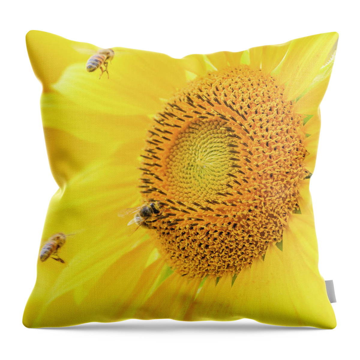 Dupage County Throw Pillow featuring the photograph Sunflower and The Bees by Joni Eskridge