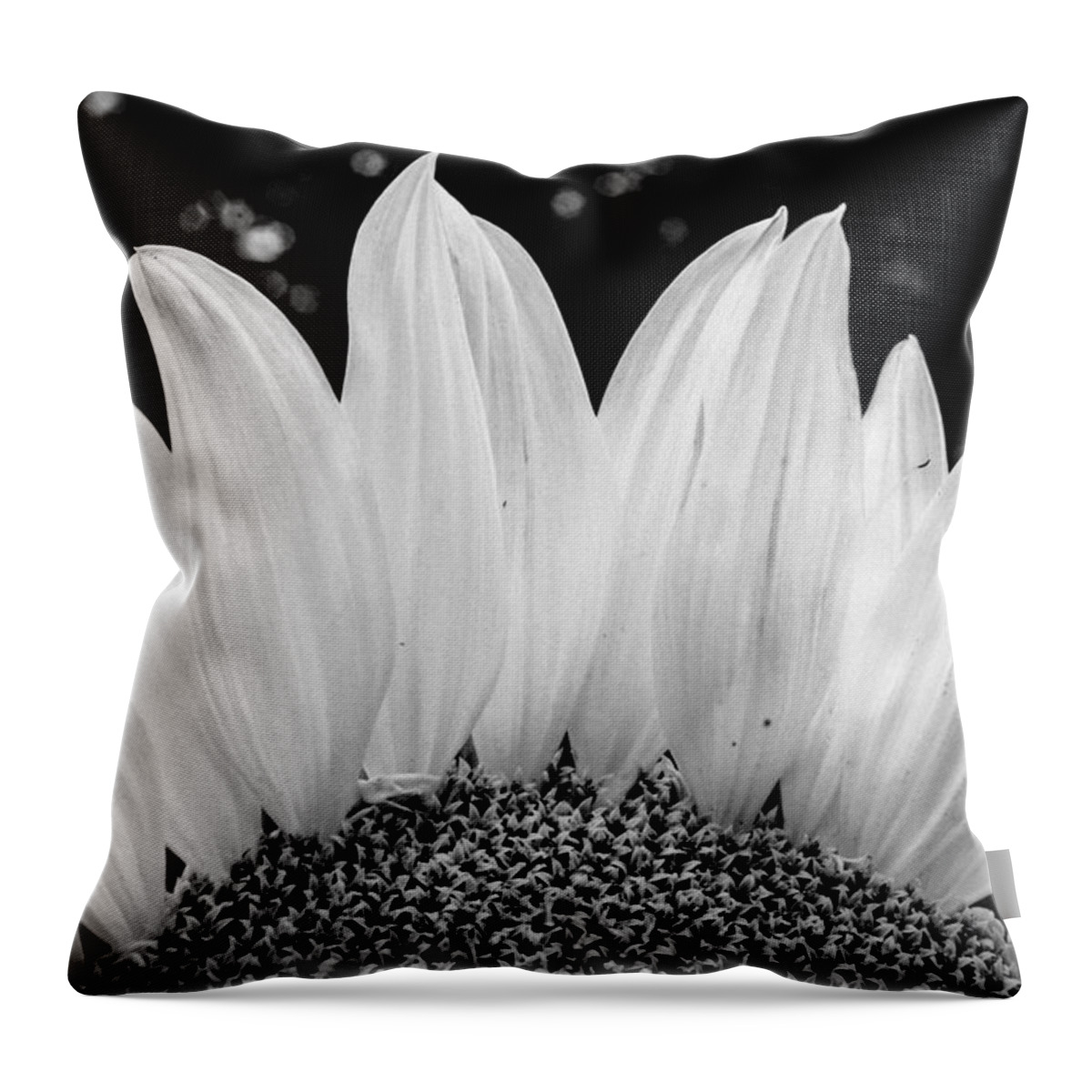 Sunflower Throw Pillow featuring the photograph Sunflower black and white by Stacy Abbott