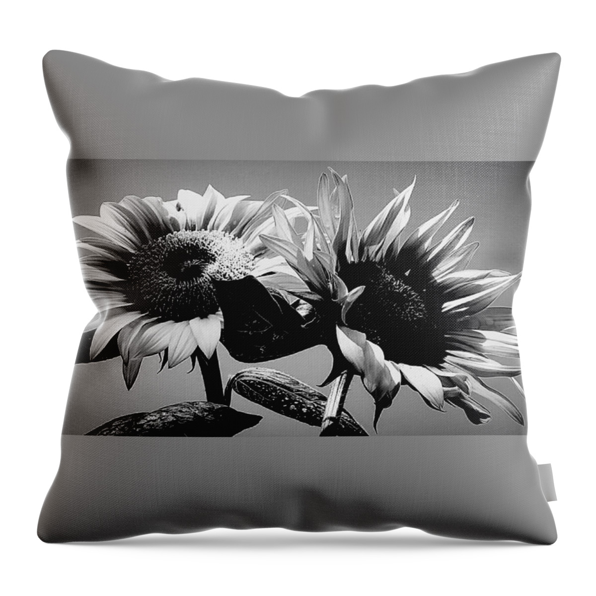 Black And White Throw Pillow featuring the photograph Sunflower Duo BW by Alexis King-Glandon