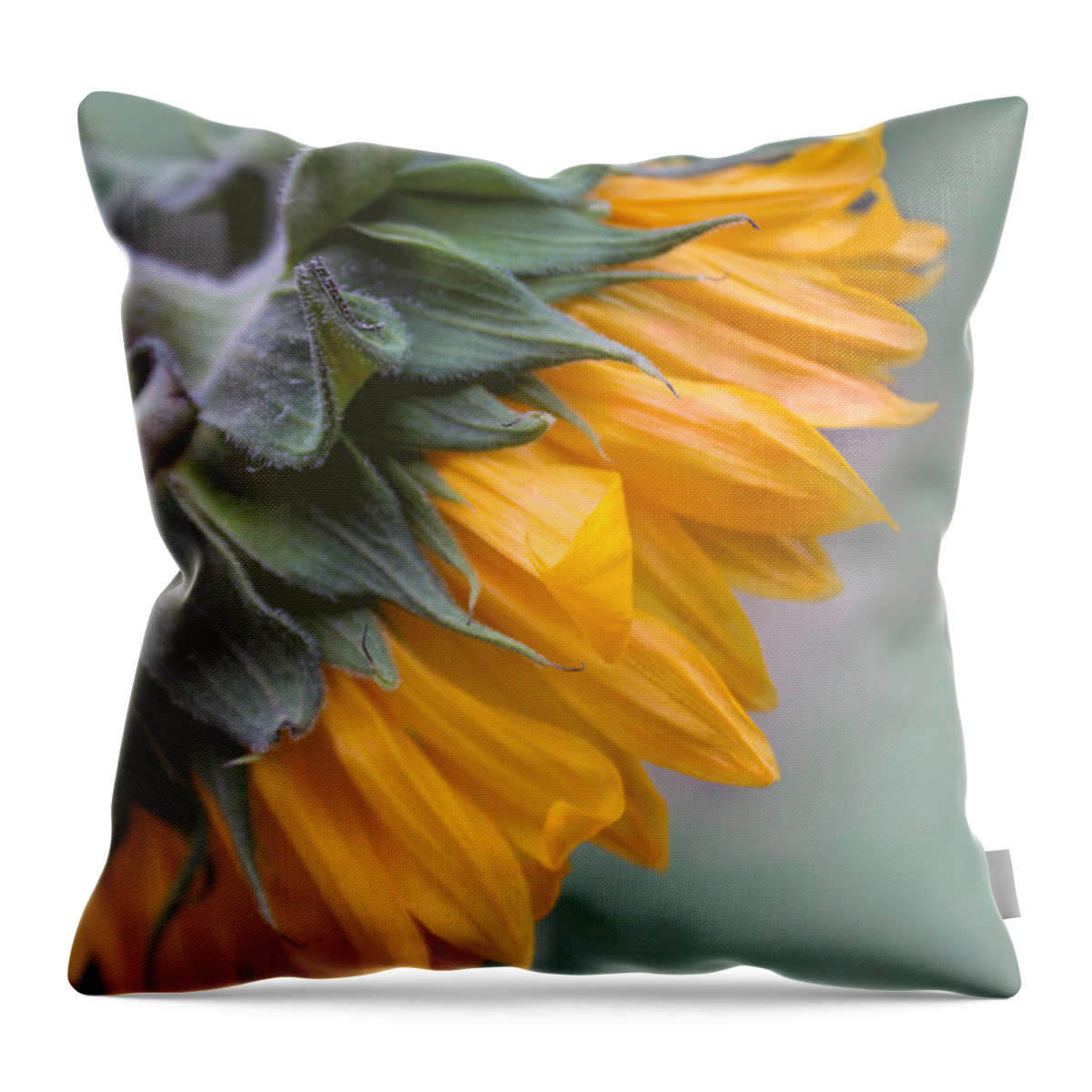 Sunflower Throw Pillow featuring the photograph Sunflower Haze by Arlene Carmel