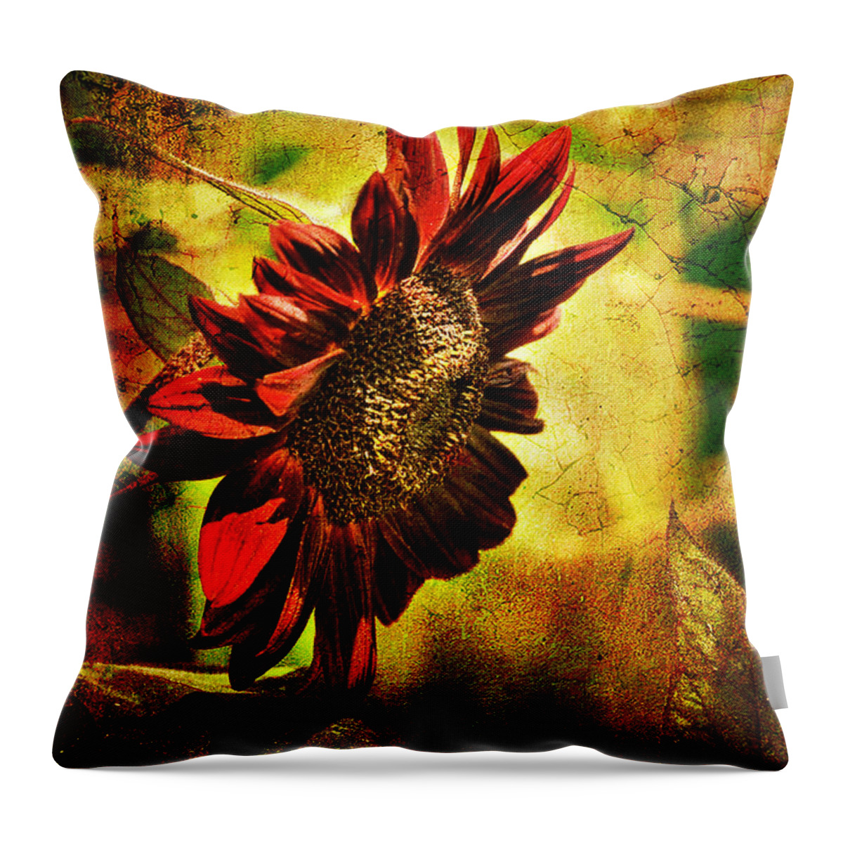 Sunflower Throw Pillow featuring the photograph Sunflower by Lois Bryan