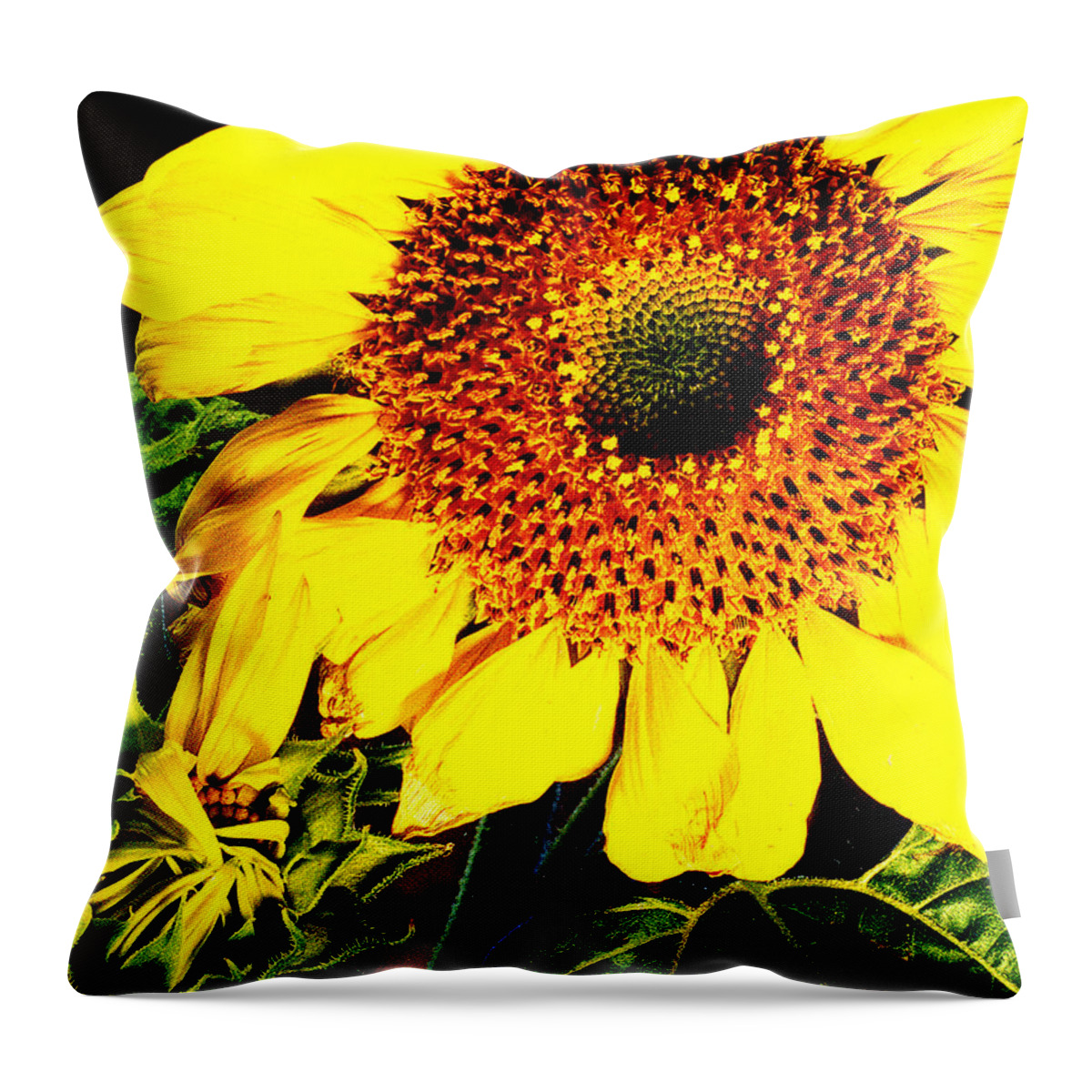 Sunflower Throw Pillow featuring the photograph Sunflower by Nancy Mueller