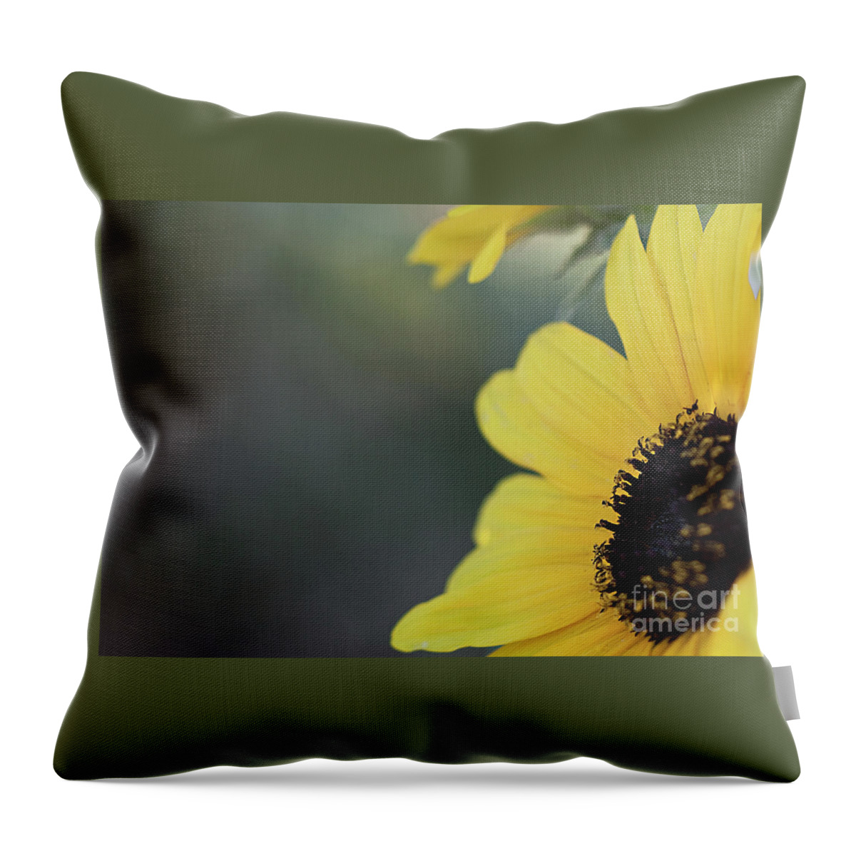 Sunflower Throw Pillow featuring the photograph Sunflower Off to the Side by Sherry Hallemeier