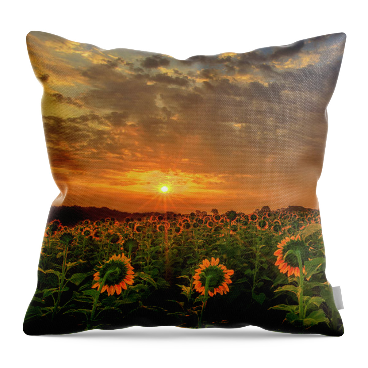 Clouds Throw Pillow featuring the photograph Sunflower Peak by Andrew Slater