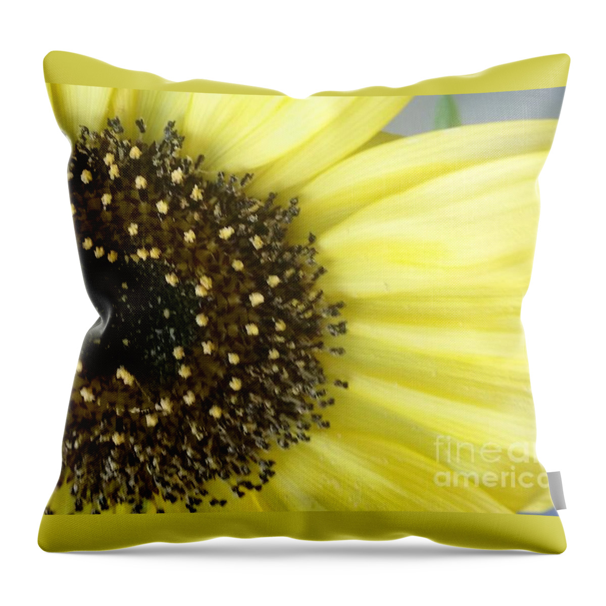 Sunflower Throw Pillow featuring the photograph Sunflower by Seaux-N-Seau Soileau