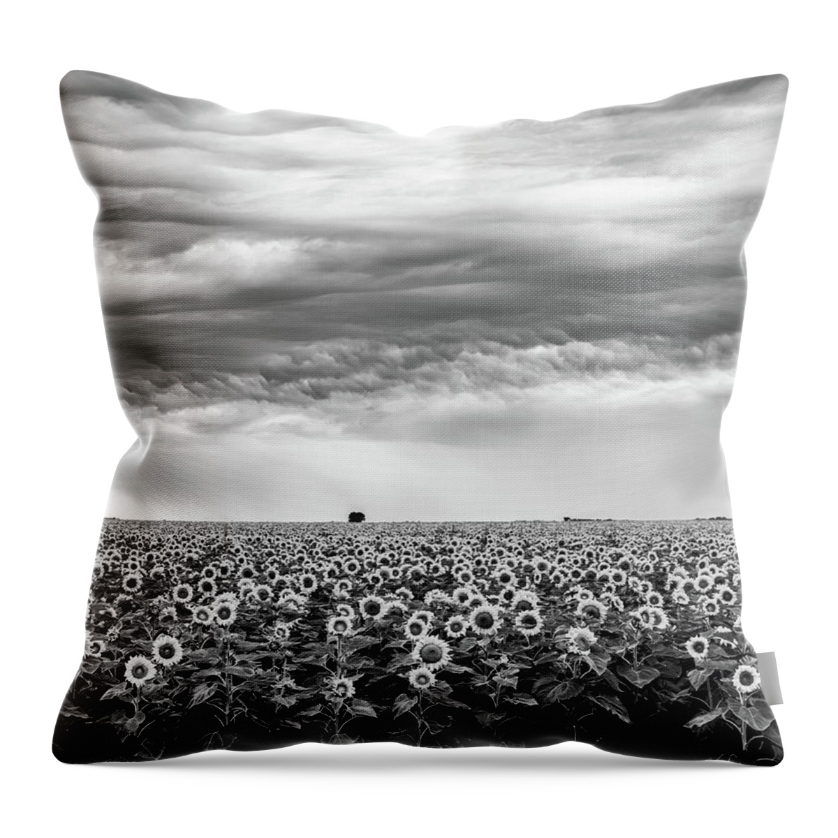 Landscapes Throw Pillow featuring the photograph Sunflowers and Rain Showers by Penny Meyers