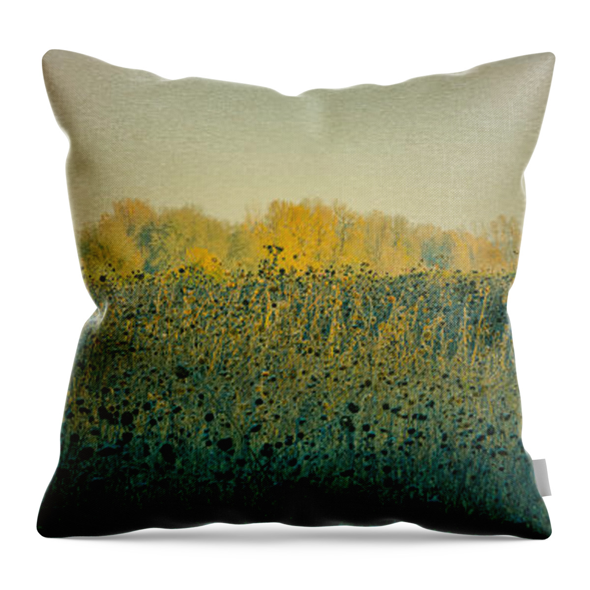 Barn Throw Pillow featuring the photograph Sunflowers and the Barn by Don Schwartz
