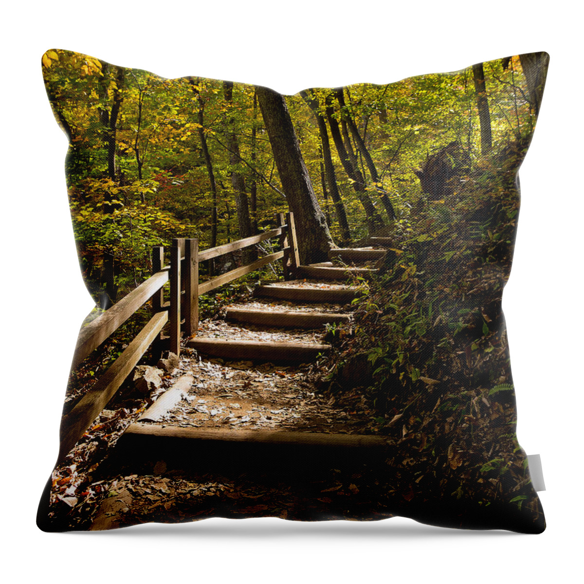 Crabtree Falls Throw Pillow featuring the photograph Sunlit Trail by Lori Coleman